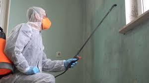 Best Mold Damage Restoration in Newberry, SC