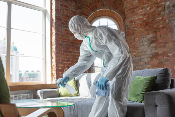  Newberry, SC Mold Removal Pros